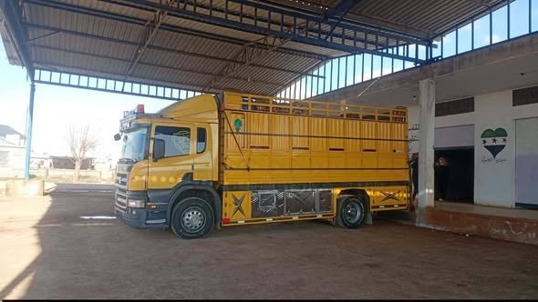 Scania P280 for Sale in Homs (2011 Card)